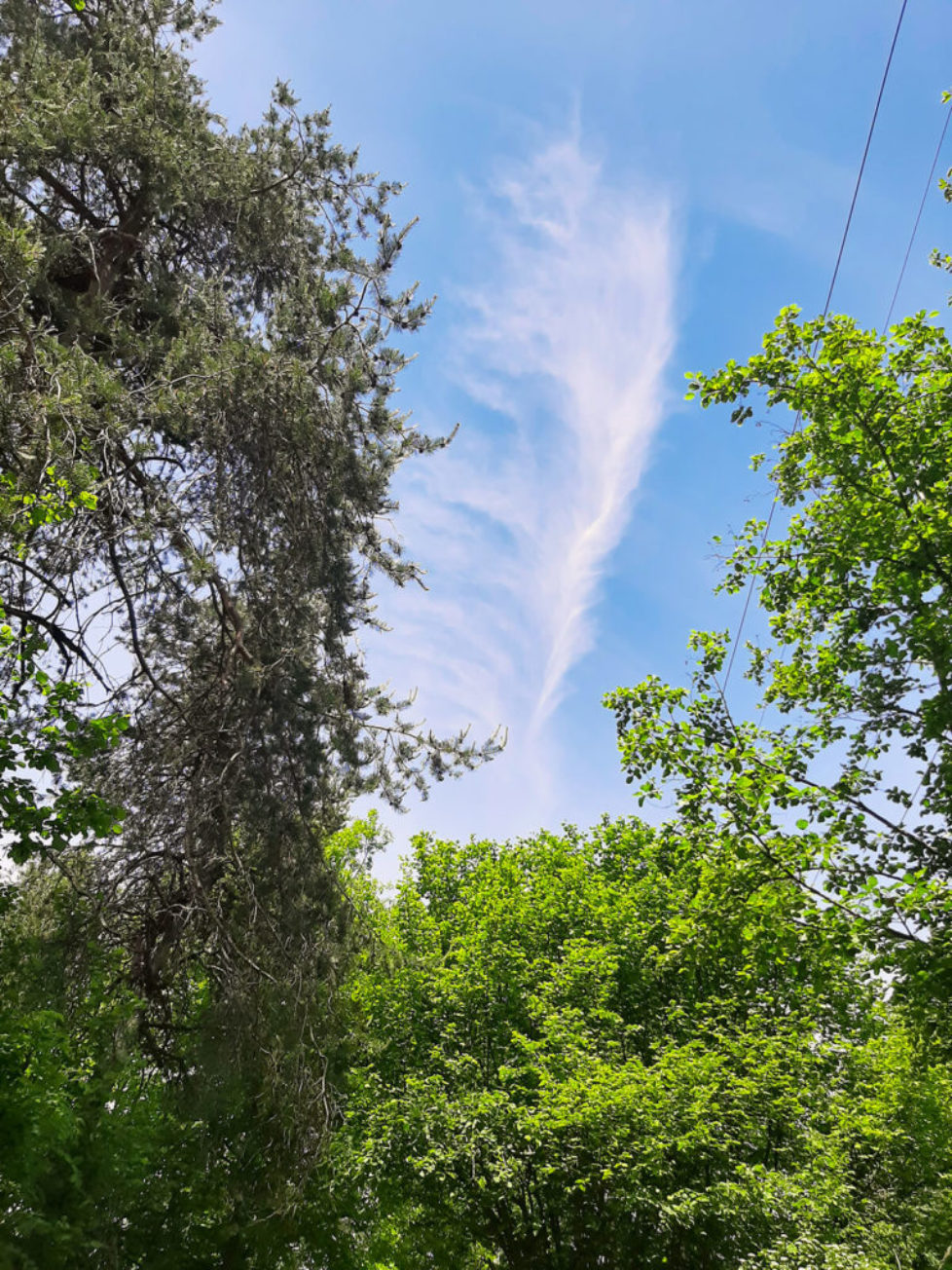 7 Tage Himmel Foto 7 Tage Himmel Foto